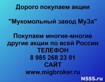 Покупаем акции «Мукомольный завод МуЗа»